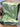Tall Pines Soap - Soaponaboat