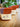 Apple Red Soap Soaponaboat